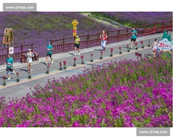 影像记忆：2025 野三关半马赛道骑行 —— 从起点拱门到云端花海