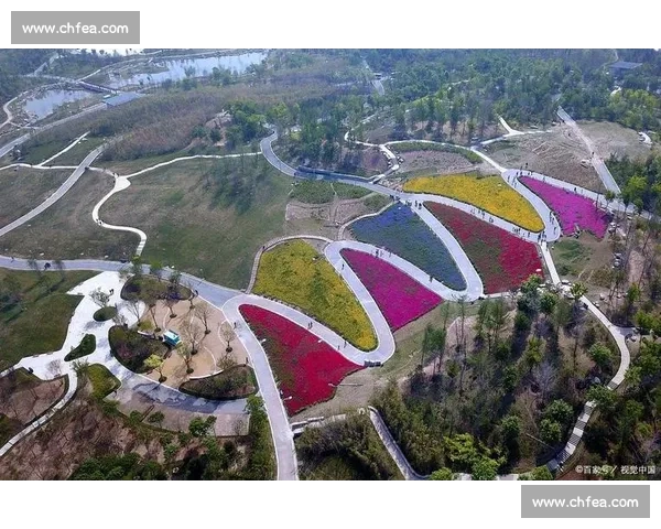 影像记忆：2025 野三关半马赛道骑行 —— 从起点拱门到云端花海